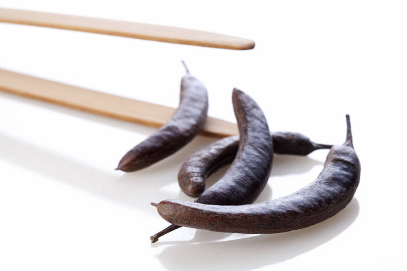 无人,横图,白色背景,静物,北京,中国,亚洲,堆叠,反射,木制,材料,钳子,草药,药草,传统,自然,干花,四个,健康,摄影,有机食品,医疗,维生素,简单,草本,中国文化,干的,中医,东亚,替代疗法,彩图,影棚拍摄,传统文化,皂角,bj175