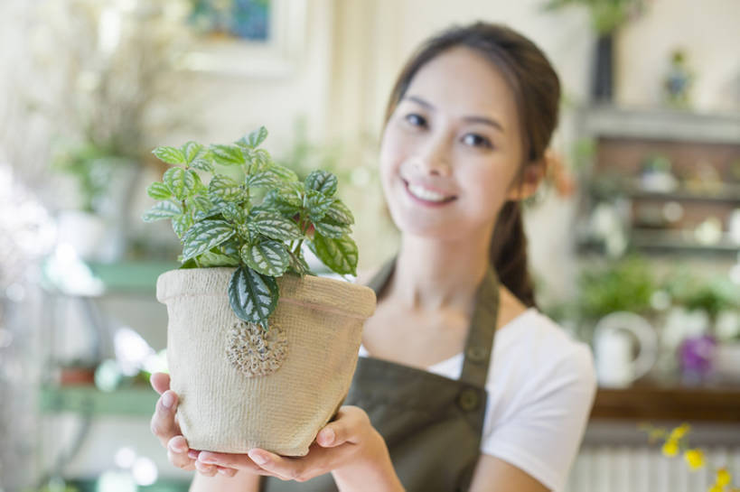 东方人,成年人,脸,头,脸颊,一个人,服务员,花商,花店,商店,笑,微笑,露齿笑,横图,室内,白天,正面,快乐,幸福,植物,城市,花盆,雕塑,北京,中国,亚洲,仅一个年轻女性,仅一个女性,仅一个人,握,艺术,装饰,工作,雕刻,雕像,盆栽,围裙,盆景,注视,休闲装,现代,肩膀,绿色,自然,工艺品,观察,看,站着,职业,零售,服务,握着,摄影,介绍,生长,生活方式,成长,观看,纪念,美术,察看,享乐,关注,清新,主题,出示,陈列,贩卖,东亚,功能,美学,店主,网纹草,年轻女性,女人,女性,亚洲人,中国人,年轻人,头部,脸部,脸蛋,面部,服务生,花店老板,花贩,卖花人,侍者,售货员,叶脉,彩图,欢乐,bj175