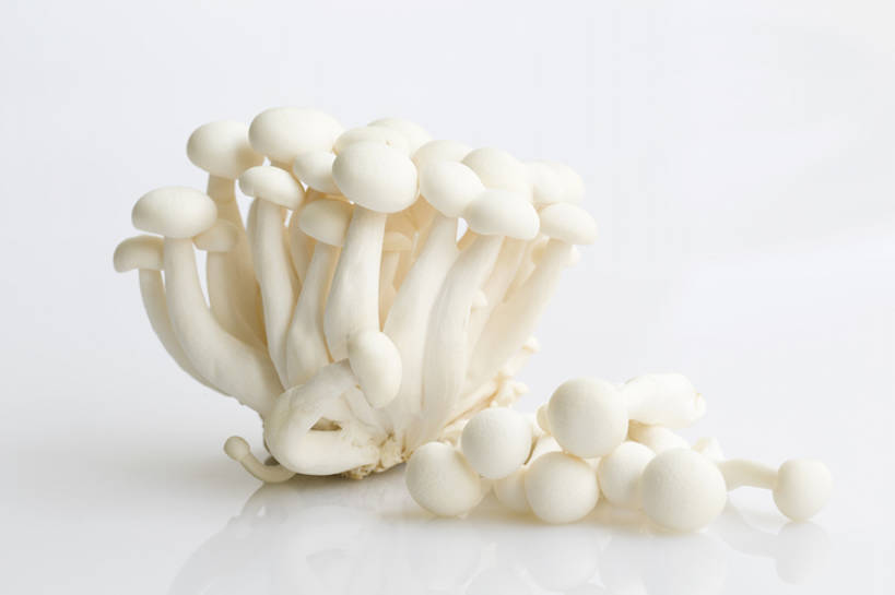 无人,横图,特写,留白,抠图,蔬菜,静物,北京,中国,亚洲,许多,准备,灰色背景,丰富,材料,蘑菇,生食,美味,食品,饮品,很多,营养,干净,饮食,餐饮,食物,饮料,白色,健康,素食,食用菌,摄影,有机食品,维生素,真菌,膳食,可口,清新,东亚,健康食物,姬菇,适口,彩图,影棚拍摄,白玉菇,bj175