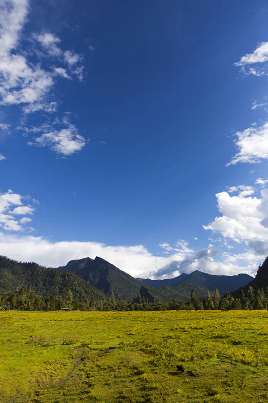 无人,竖图,室外,白天,旅游,度假,草地,草原,美景,森林,山,山脉,植物,中国,亚洲,曲折,地形,景观,山顶,山坡,云,云层,娱乐,林芝,西藏,草,树,蓝色,绿色,风景,天空,自然,平原,享受,休闲,景色,放松,茂密,摄影,茂盛,宁静,环境,自然风光,东亚,西藏自治区,青藏高原,坎坷,崎岖,地质学,自然地理,彩图,旅行,广角,南伊沟,bj175