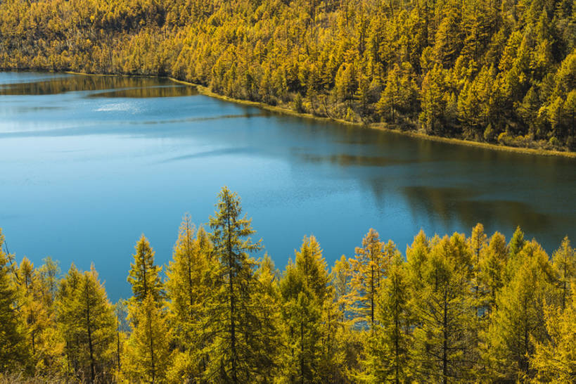 无人,横图,室外,白天,旅游,度假,湖,美景,森林,树林,水,植物,标志建筑,地标,建筑,中国,亚洲,环绕,地形,河岸,景观,建筑群,娱乐,干净,建设,树,黄色,风景,自然,享受,休闲,旅游胜地,景色,放松,季节,茂密,摄影,茂盛,宁静,环境,生态,清新,自然风光,树梢,东亚,内蒙古,秋天,彩图,旅行,林区,阿尔山,阿尔山国家森林公园,淡水,bj175