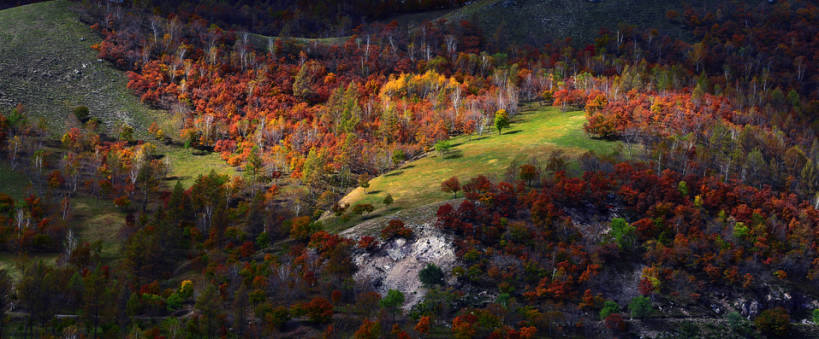 无人,横图,室外,白天,旅游,度假,美景,森林,山,山脉,树林,植物,标志建筑,地标,建筑,中国,亚洲,曲折,地形,景观,山坡,建筑群,地面,娱乐,建设,草,树,黄色,风景,自然,享受,休闲,旅游胜地,景色,放松,季节,摄影,宁静,环境,生态,自然风光,野地,东亚,内蒙古,坎坷,崎岖,自然地理,秋天,彩图,旅行,林区,阿尔山,bj175
