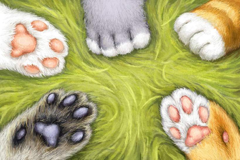 横图,俯视,插画,纯洁,数码,科技,草地,猫,阴影,网络,爪子,高光,几何,计算机图形,合成,图画,画,草,可爱,童年,童趣,爪,电脑合成图,数码合成图,合成图,漫画,童真,烂漫,无邪,写实,具体,具象,天真,高角度拍摄,bj175