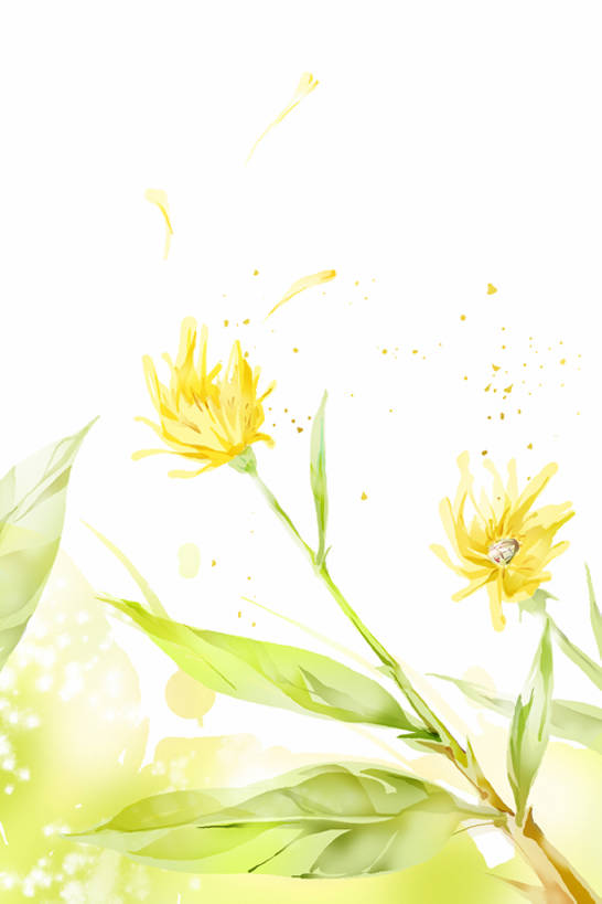 无人,竖图,彩色,插画,留白,白色背景,绘画,数码,科技,美景,风,叶子,阴影,艺术,网络,景观,野花,黄绿色,高光,几何,计算机图形,合成,图画,飞,画,花,花瓣,花朵,风景,自然,菊花,景色,摄影,影棚,五颜六色,颜料,美术,色彩斑斓,电脑合成图,数码合成图,合成图,清新,自然风光,摄影棚,五彩缤纷,漫画,写实,具体,具象,五彩斑斓,五光十色,彩图,影棚拍摄,拍摄,bj175