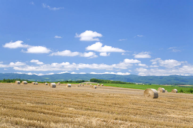 白天,旅游,度假,美景,亚洲,地形,景观,干草,娱乐,风景,天空,自然,草垛,夏天,享受,休闲,景色,放松,收获,自然风光,干草垛,彩图,bj175