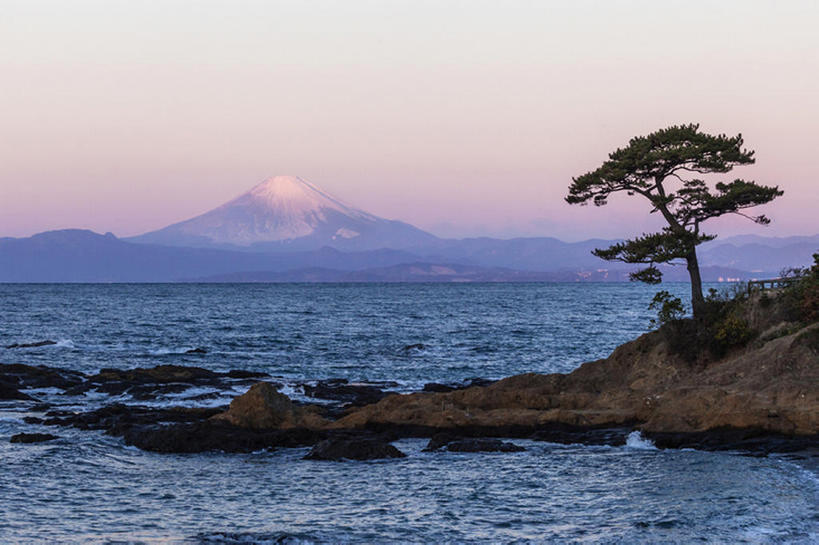 横图,海洋,山,松树,富士山,日本,黎明,神奈川县,风景,天空,早晨,bj175