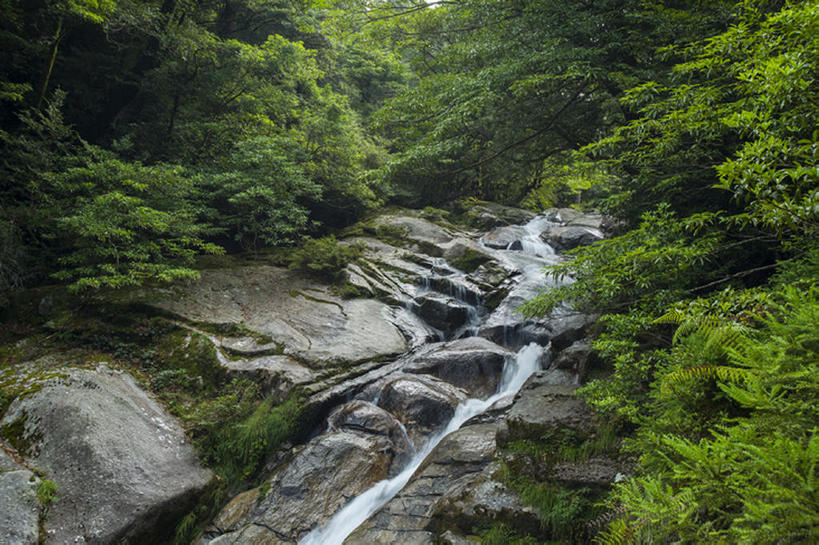 无人,横图,室外,白天,河流,森林,日本,地形,世界遗产,树,风景,自然,鹿儿岛县,岩石,联合国教科文组织,bj175