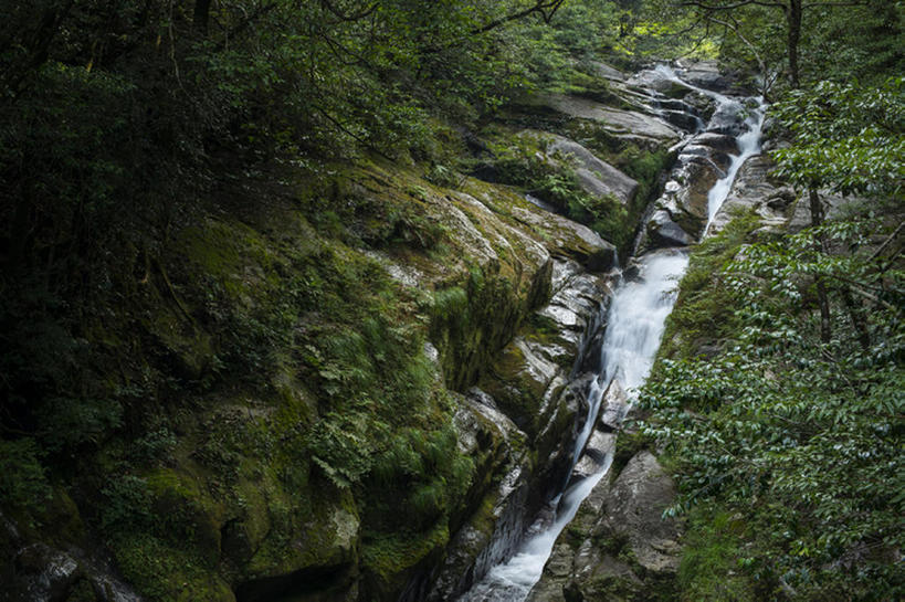 无人,横图,室外,白天,河流,森林,地形,世界遗产,树,风景,自然,鹿儿岛县,岩石,联合国教科文组织,bj175