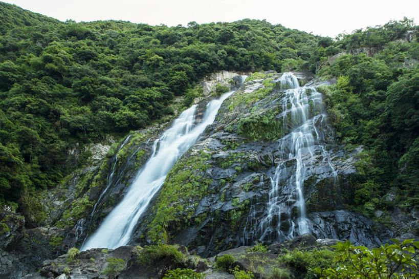 无人,横图,室外,白天,瀑布,森林,日本,地形,世界遗产,风景,自然,鹿儿岛县,岩石,联合国教科文组织,bj175