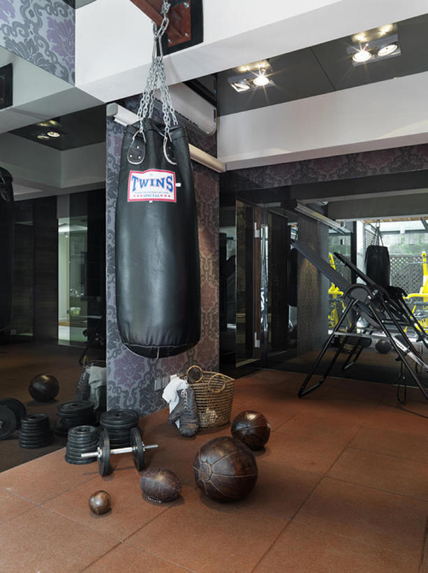 无人,家庭,健身房,竖图,室内,奢侈,时尚,窗户,中国,亚洲,一排,整齐,公寓,豪华,干净,现代,布置,排列,装饰物,打开,温暖,温馨,一家人,财富,摄影,电灯,华丽,样板房,和睦,高雅,享乐,开启,队列,华贵,沙包,健身器材,东亚,富丽,华美,设计,彩图,融洽,华侈,奢华,上层阶级,bj175