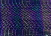 tkf001_107615
