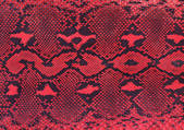 tkf001_108207