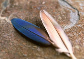 tkf001_113210