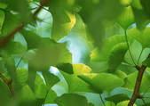 tkf001_113560