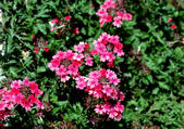 tkf001_115206