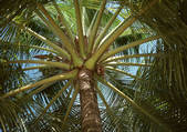 tkf001_116622