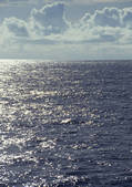 tkf001_116633