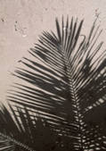 tkf001_117012
