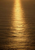 tkf001_117126