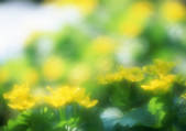 tkf001_120996