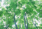 tkf001_123261