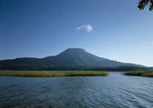 tkf001_123290