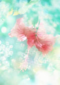 tkf001_123302