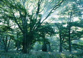tkf001_123797