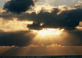 tkf001_123964