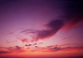 tkf001_123965