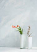 tkf001_125187