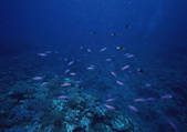 tkf001_126823