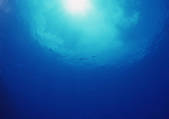 tkf001_127202