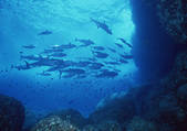 tkf001_127487