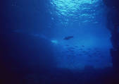 tkf001_127491
