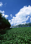 tkf001_127670