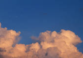 tkf001_128416