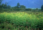 tkf001_130834