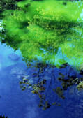 tkf001_134112