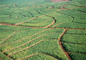 tkf001_134245