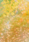tkf001_136061