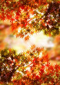 tkf001_136064