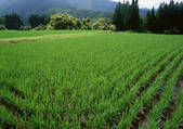 tkf001_137598