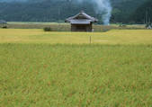 tkf001_137741