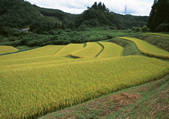 tkf001_137745