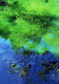 tkf001_139112