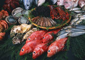tkf001_139696