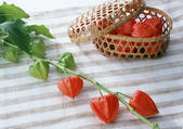 tkf001_139808