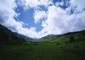 tkf001_141871