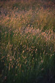 tkf001_163914